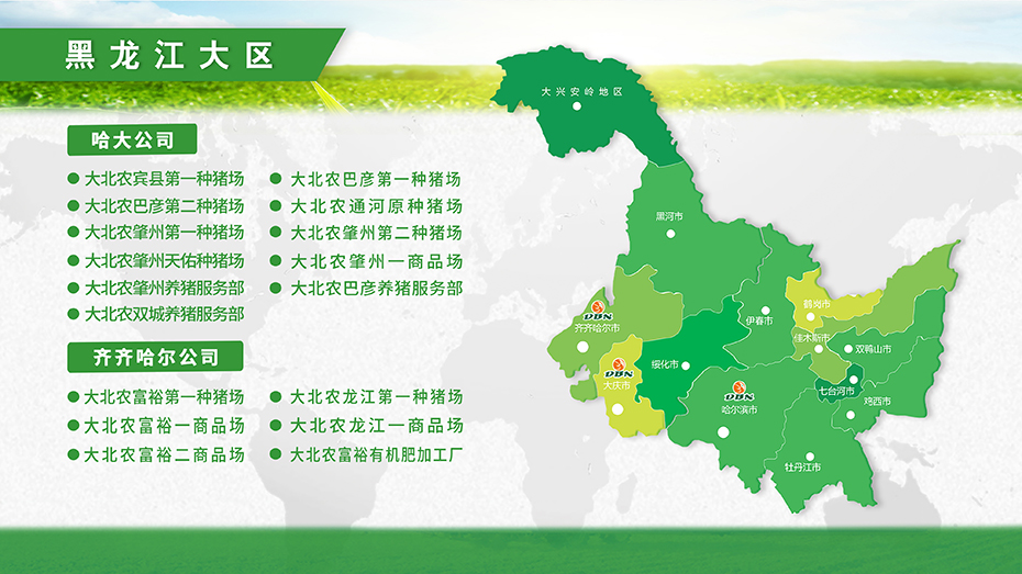 黑龙江大区.jpg